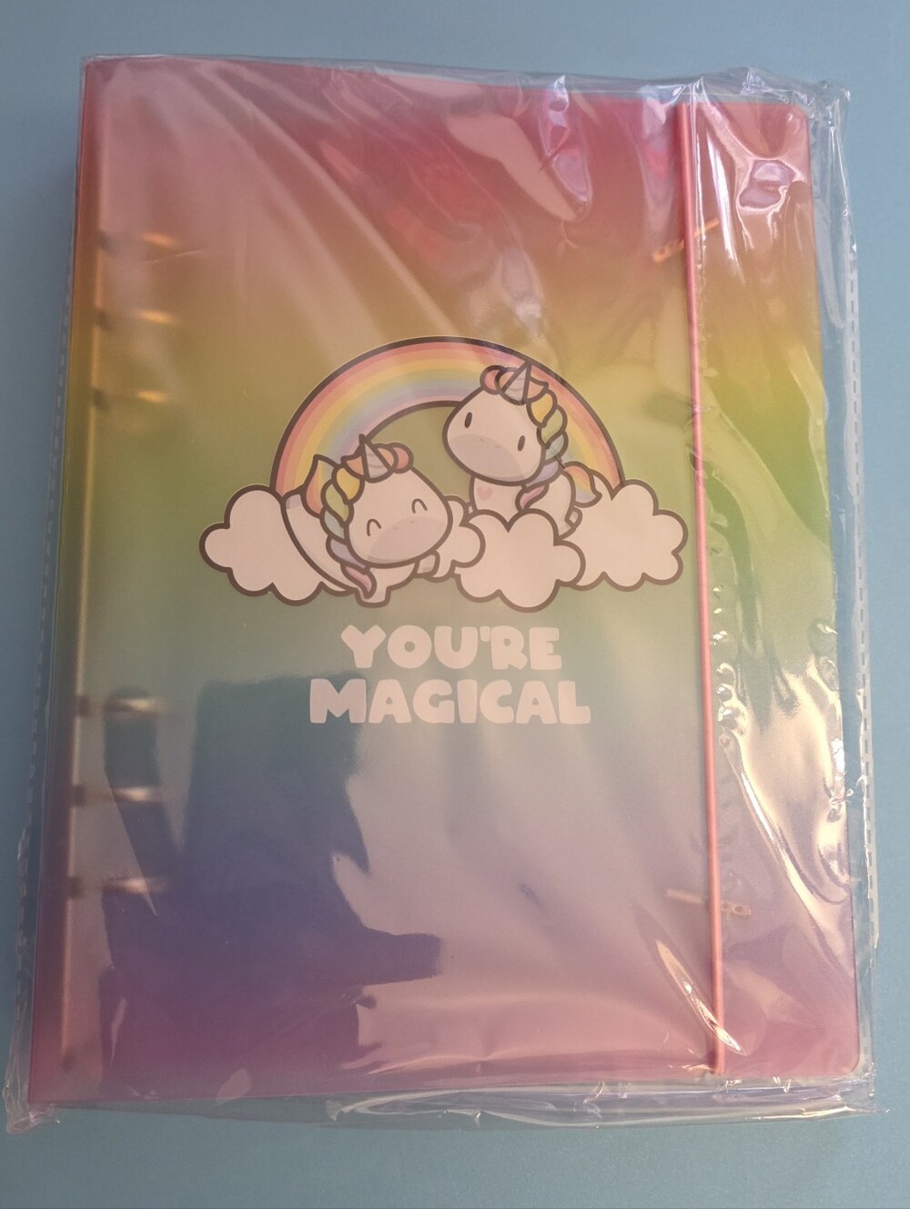 NEW Hubman & Chubgirl Rainbows & Unicorns Binder